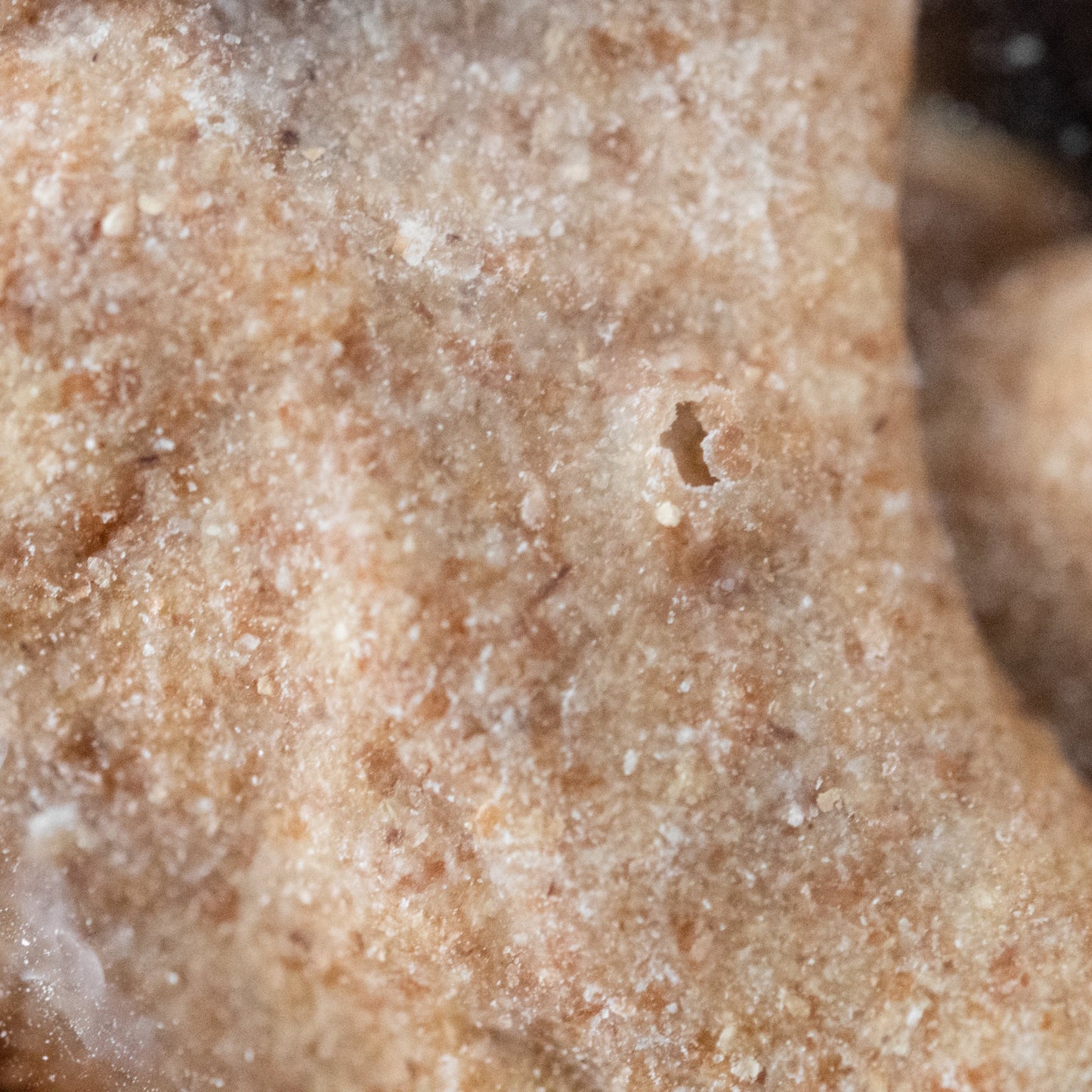 Close up of biscuit